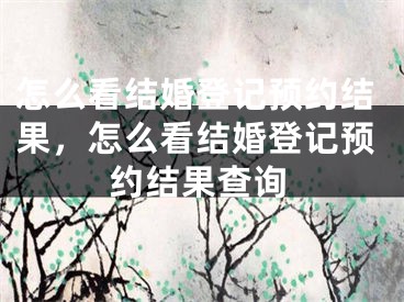 怎么看结婚登记预约结果,怎么看结婚登记预约结果查询