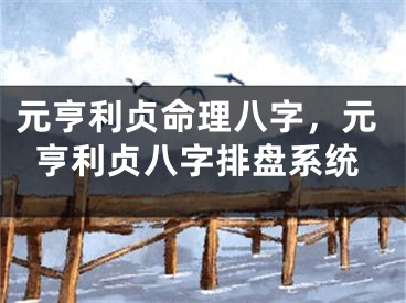 元亨利贞命理八字，元亨利贞八字排盘系统