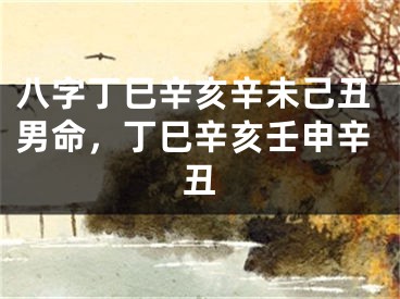 八字丁巳辛亥辛未己丑男命，丁巳辛亥壬申辛丑