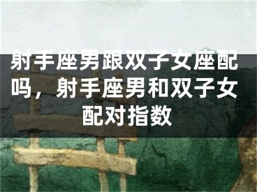 射手座男跟双子女座配吗，射手座男和双子女配对指数