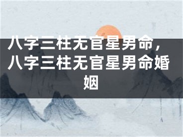 八字三柱无官星男命，八字三柱无官星男命婚姻