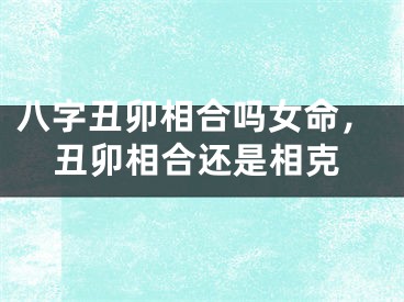 八字丑卯相合吗女命，丑卯相合还是相克