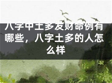 八字中土多发财命例有哪些，八字土多的人怎么样