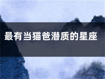 最有当猫爸潜质的星座