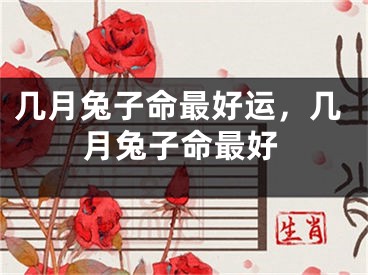 几月兔子命最好运,几月兔子命最好