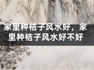 家里种桔子风水好，家里种桔子风水好不好