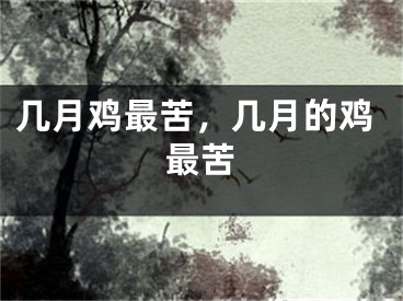几月鸡最苦，几月的鸡最苦