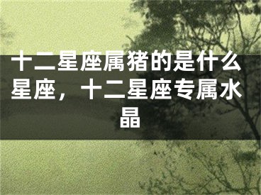 十二星座属猪的是什么星座，十二星座专属水晶