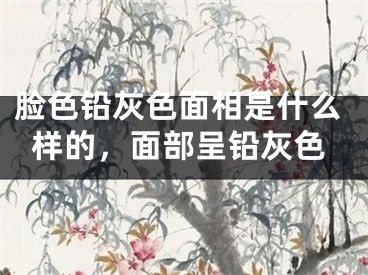 脸色铅灰色面相是什么样的，面部呈铅灰色