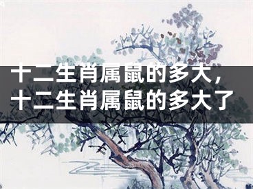 十二生肖属鼠的多大，十二生肖属鼠的多大了
