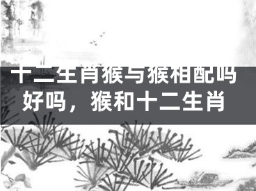 十二生肖猴与猴相配吗好吗，猴和十二生肖