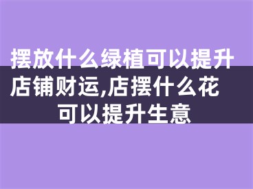 摆放什么绿植可以提升店铺财运,店摆什么花可以提升生意