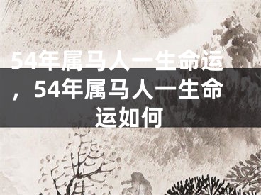 54年属马人一生命运，54年属马人一生命运如何