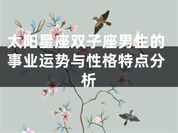 太阳星座双子座男生的事业运势与性格特点分析