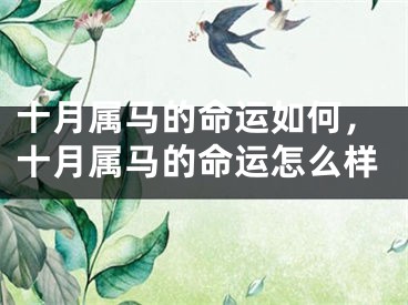 十月属马的命运如何，十月属马的命运怎么样